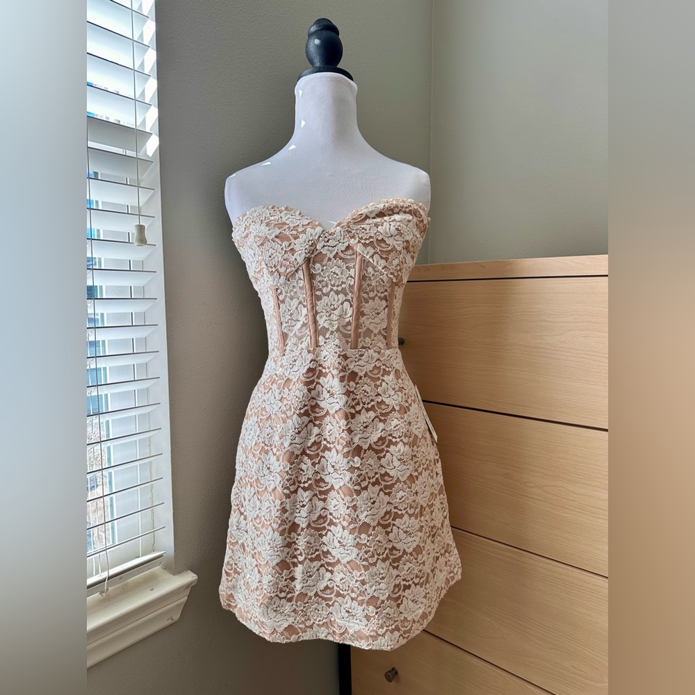 NWT Bardot Lace Corset Mini Dress Strapless Semi Sheer Soft Peach Cream 10 L
